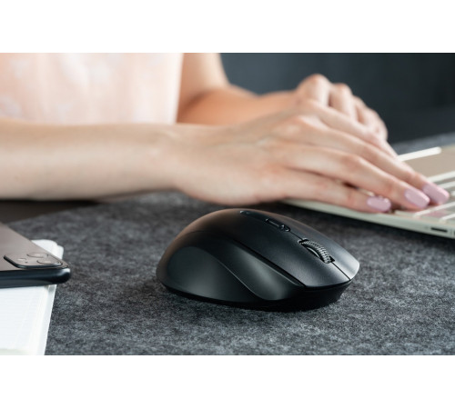 Мышь 2Е MF240 WL Black (2E-MF240WB)