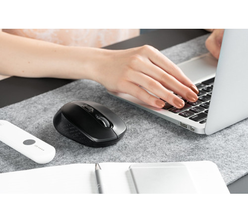 Миша 2Е MF230 Silent WL Black 2E- (MF230WB)