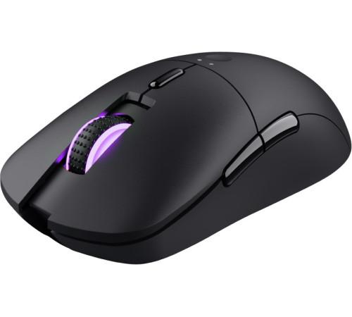 Игровая мышь Trust GXT 980 REDEX, RECHARGEABLE, RGB, WL, Black (24480_TRUST)