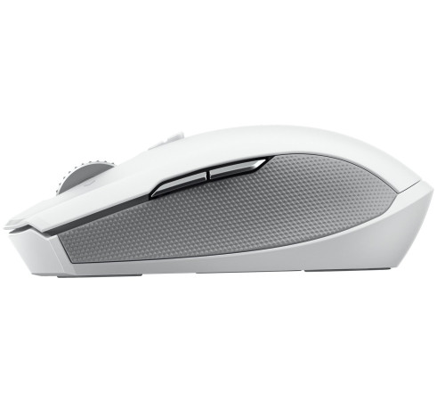 Ігрова миша Razer Pro Click Mini (RZ01-03990100-R3G1)