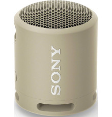 Портативна акустика Sony SRS-XB13 (SRSXB13C.RU2)