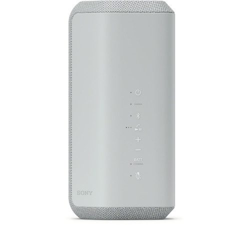 Портативна акустика Sony SRS-XE300 Light Gray (SRSXE300H.RU2)