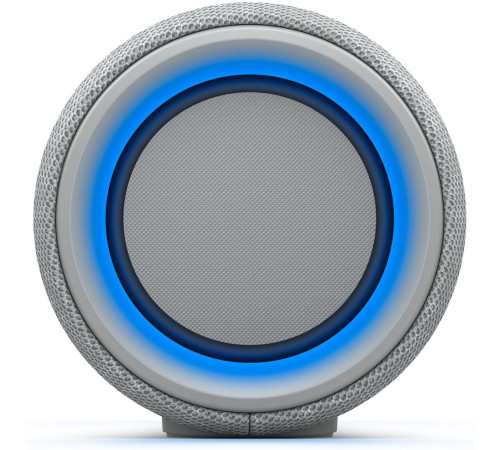 Портативна акустика Sony SRS-XG300 Grey (SRSXG300H.RU4)