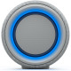 Портативна акустика Sony SRS-XG300 Grey (SRSXG300H.RU4)