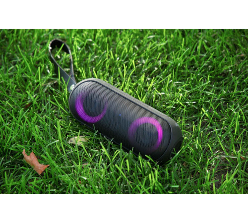 Портативная акустика 2E SoundXPill Black (2E-BSSXPLLWBK)