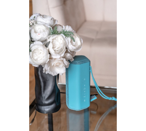 Портативна акустика Sony SRS-XE200 Blue (SRSXE200L.RU2)