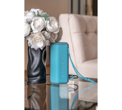 Портативна акустика Sony SRS-XE200 Blue (SRSXE200L.RU2)