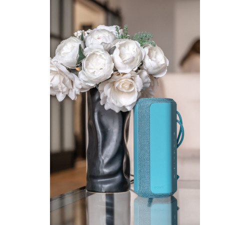Портативна акустика Sony SRS-XE200 Blue (SRSXE200L.RU2)