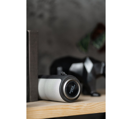 Портативна акустика 2E SoundXTube Grey (2E-BSSXTWGY)