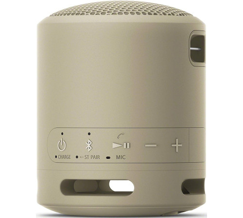 Портативна акустика Sony SRS-XB13 (SRSXB13C.RU2)