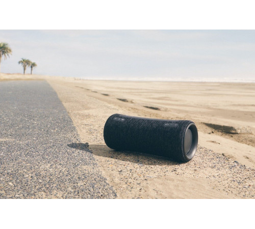 Портативна акустика Sony SRS-XG300 Black (SRSXG300B.RU4)