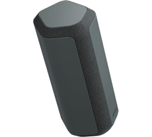 Портативна акустика Sony SRS-XE300 Black (SRSXE300B.RU2)