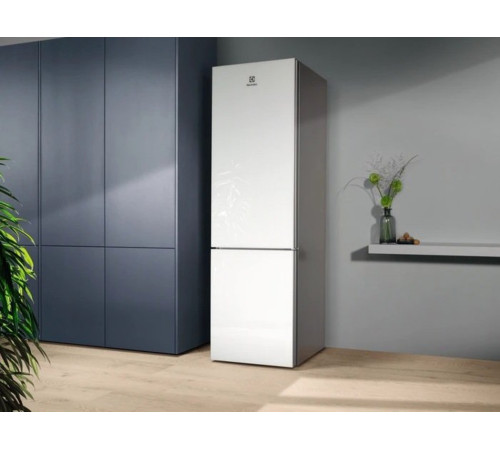 Холодильник Electrolux RNT7ME34G1