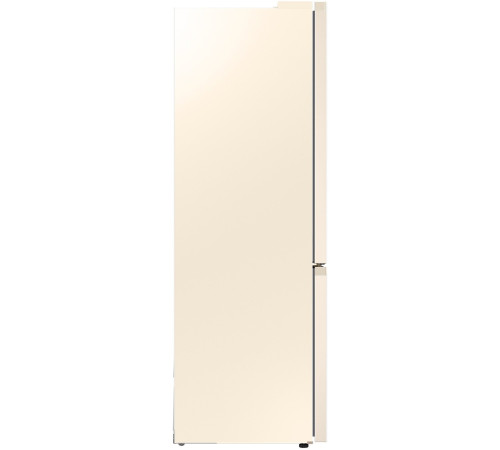 Холодильник Samsung RB36T674FEL/UA