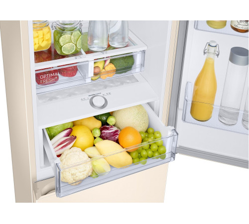 Холодильник Samsung RB36T674FEL/UA