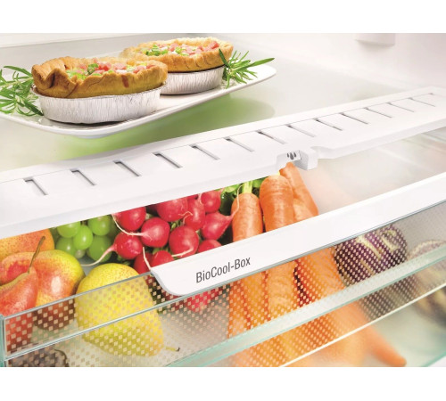 Холодильник Liebherr CN5735