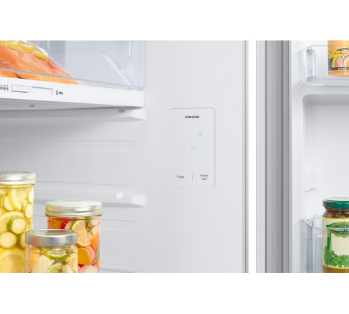 Холодильник Samsung RT47CG6442WWUA