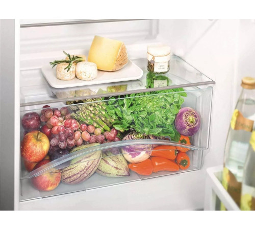 Холодильник Liebherr CT2931