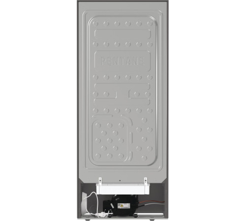 Холодильная камера Gorenje R615FES5