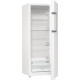 Холодильная камера Gorenje R615FEW5