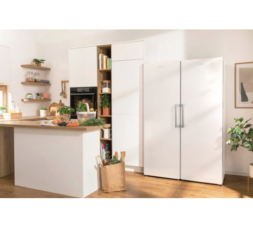 Холодильник Gorenje R619FEW5