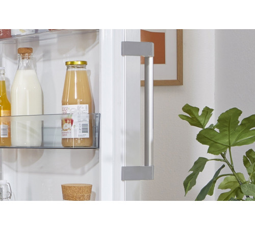 Холодильник Gorenje R619FEW5