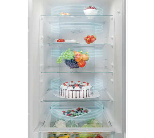 Холодильник CANDY CCE4T620EW