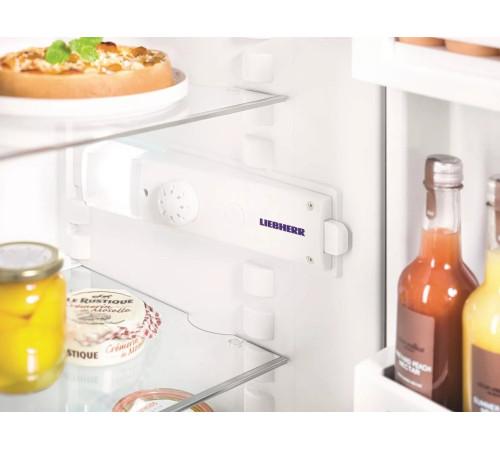 Холодильник однокамерный Liebherr TB1400