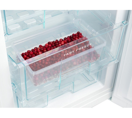 Холодильник Snaige RF32SM-S0002F