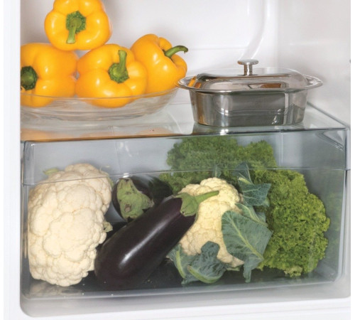 Холодильник Snaige FR26SM-PRR50E