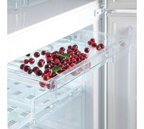 Холодильник Snaige RF53SM-S5RB2F