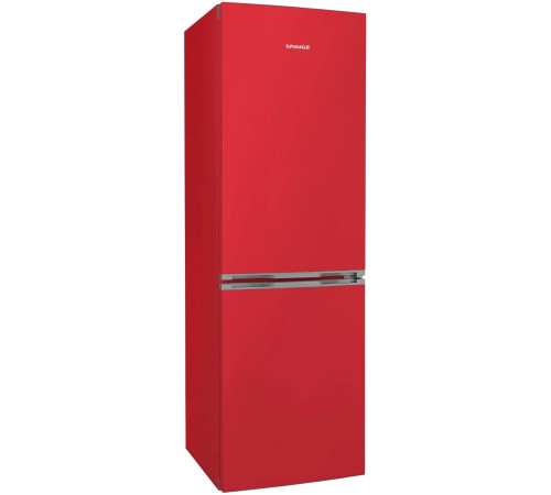 Холодильник Snaige RF56SM-S5RB2E