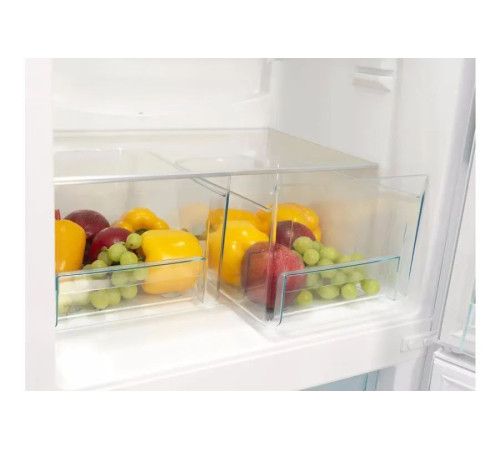 Холодильник Snaige RF31SM-S0002E