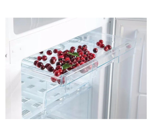 Холодильник Snaige RF31SM-S0002E