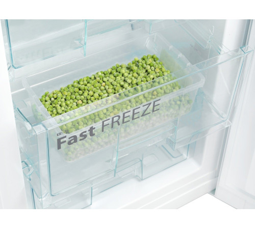 Холодильник Snaige RF36SM-S0002E