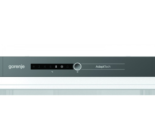 Встраиваемый холодильный шкаф Gorenje RI 2181A1 (RI2181A1)