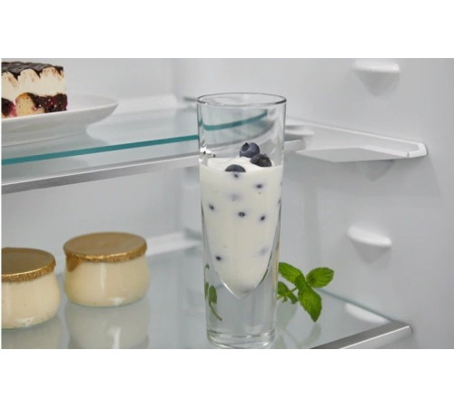 Встраиваемый холодильник Electrolux RNS9TE19S