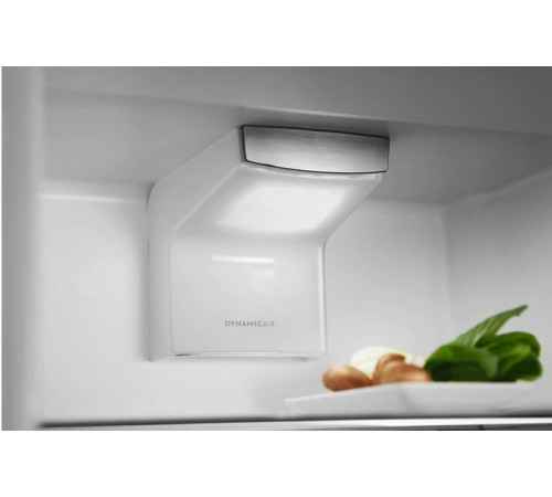 Встраиваемый холодильник Electrolux RNS6TE19S