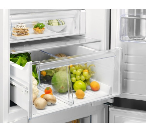 Встраиваемый холодильник Electrolux RNT6TE19S0