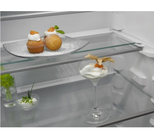 Встраиваемый холодильник Electrolux RNT6TE19S0