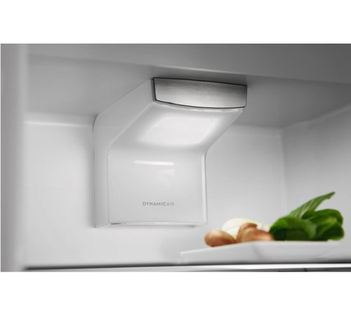 Встраиваемый холодильник Electrolux RNT6TE19S0
