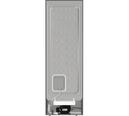 Морозильная камера Gorenje FN619EAXL6