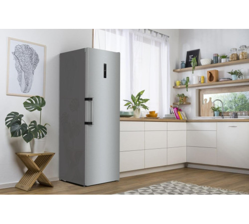 Морозильная камера Gorenje FN619EAXL6