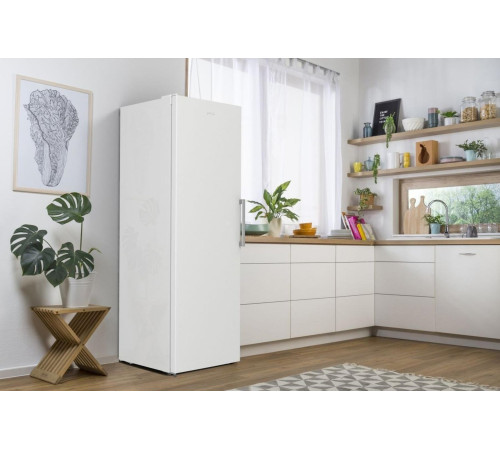 Морозильная камера Gorenje FNP619EEW5L