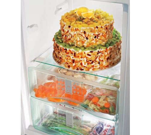 Морозильная камера Liebherr GP1376