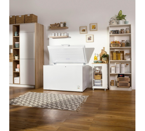 Морозильня камера Gorenje FH451CW