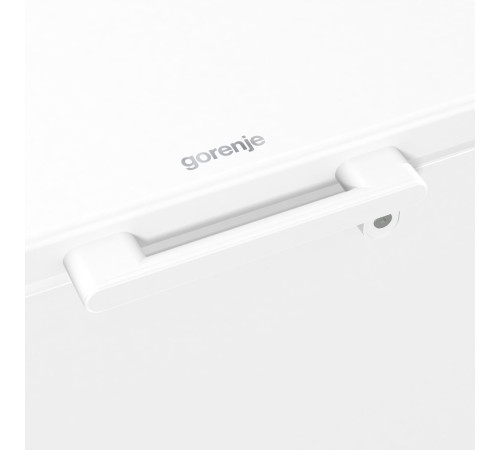 Морозильня камера Gorenje FH451CW