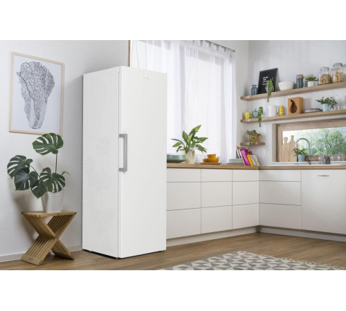 Морозильная камера Gorenje FN619FEW5