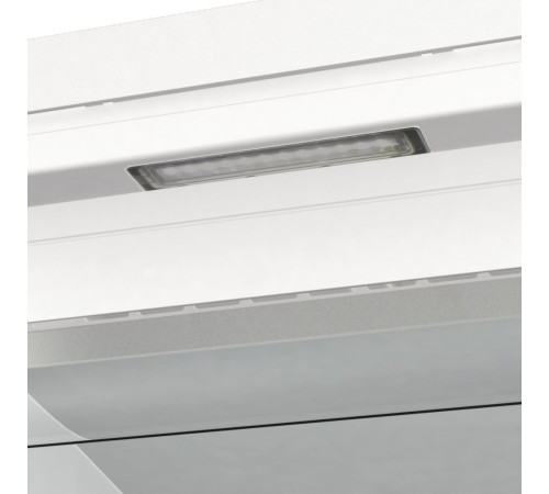 Морозильная камера Gorenje FNP619EAW6L