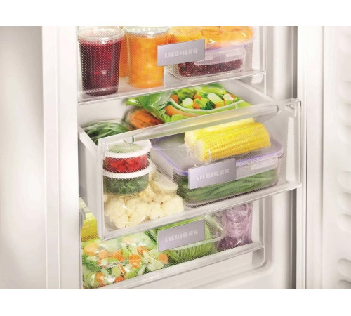 Морозильная камера Liebherr G1213